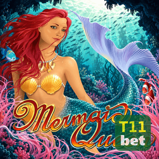 T11BET — governança de dados pessoais e conformidade com a LGPD