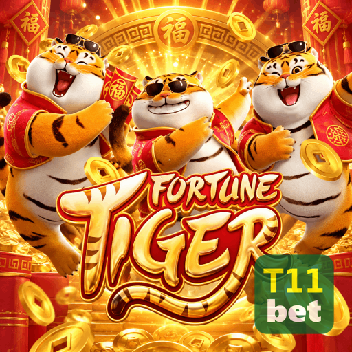 Campos de e-mail e senha na entrada da conta T11BET