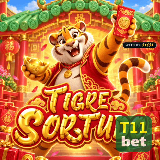 Ajustes de segurança e controle de sessão da conta T11BET